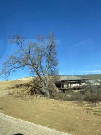 Əziz Səncər Şuşada -FOTO