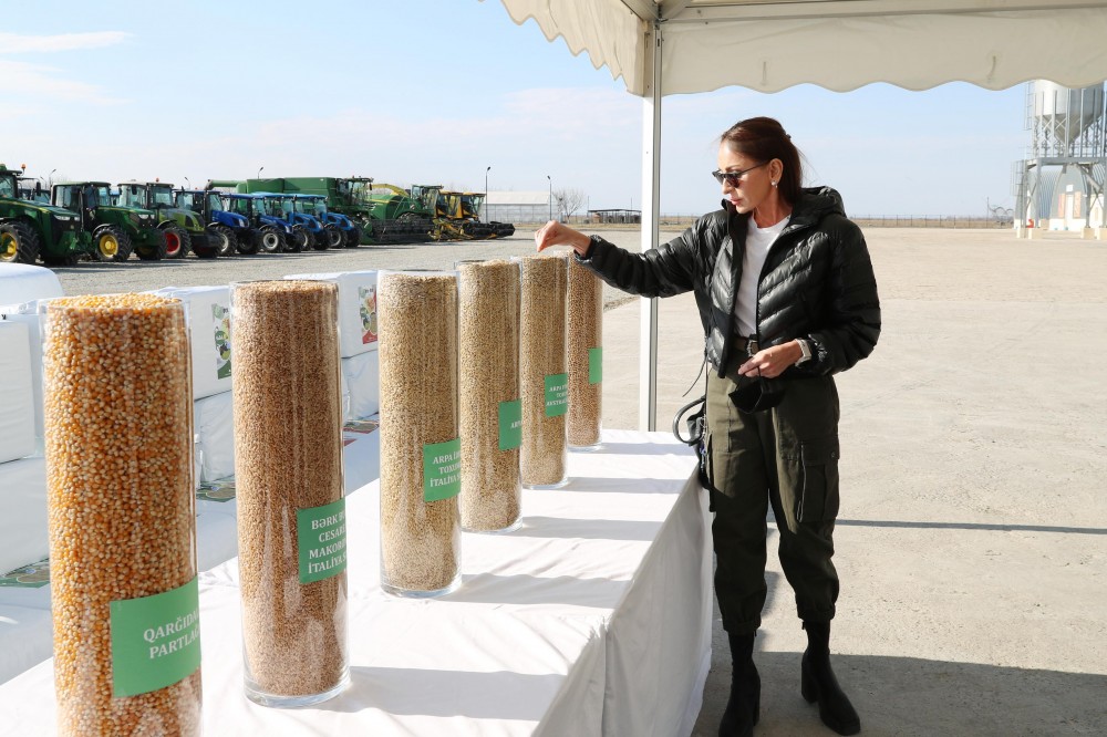 İlham Əliyev və Mehriban Əliyeva “Ağcabədi taxıl Aqropark”da yaradılan şəraitlə tanış olublar- FOTOLAR