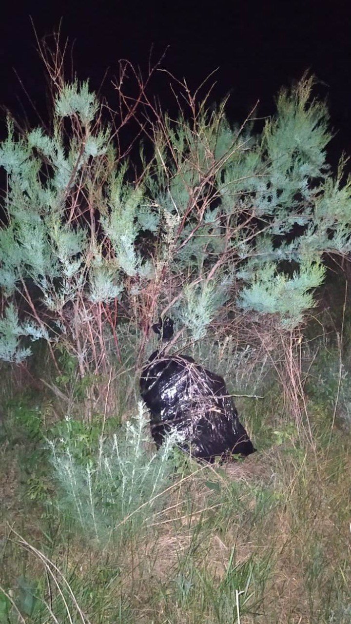 SON DƏQİQƏ! İranla sərhəddə ATIŞMA:saxlanılan var - FOTOLAR