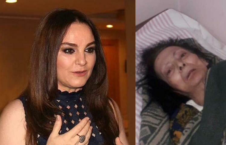 Azərbaycanlı Xalq artistini pula görə qardaşı qızı qətlə yetirib?- ŞOK İDDİA (VİDEO)