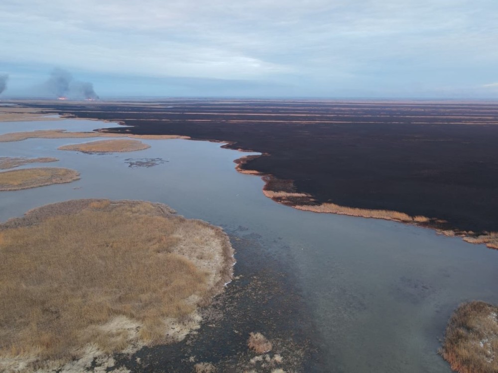 Həştərxan Təbiət Qoruğunda güclü yanğın- FOTOLAR