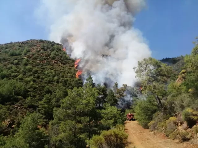 Yanğınsöndürənlər meşədəki yanğın üçün hərəkətə keçdi- Kəmərlə boğulub, yanmış cəsəd tapdılar (FOTO)