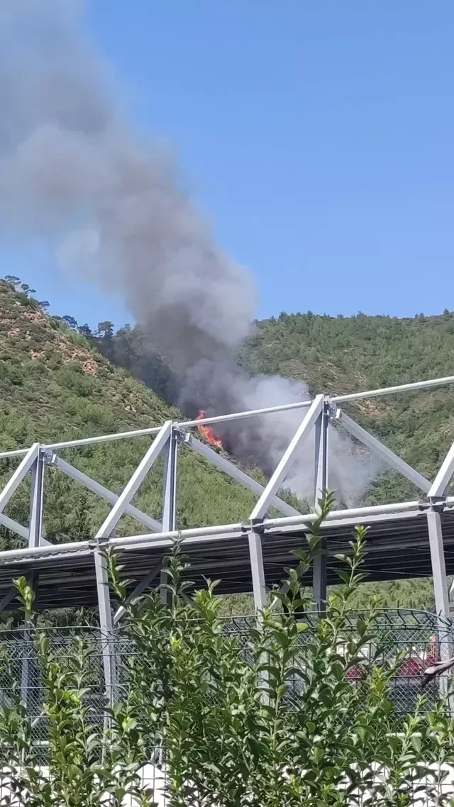 Yanğınsöndürənlər meşədəki yanğın üçün hərəkətə keçdi- Kəmərlə boğulub, yanmış cəsəd tapdılar (FOTO)