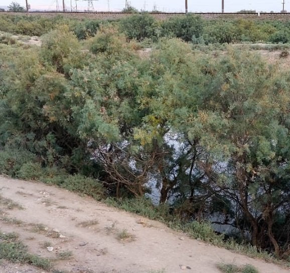 Sabirabadda TIR yoldan çıxaraq kanala aşdı -FOTO