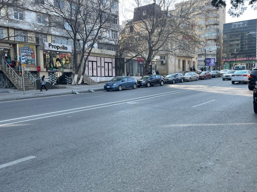 Bakı Şəhər İcra Hakimiyyətinin Yasamaldakı “yaşıl soyqırım”ı-Mirdamət Seyidov da Həsrət Əmrahovun ənənəsini davam etdirir (FOTOLAR+ VİDEO)