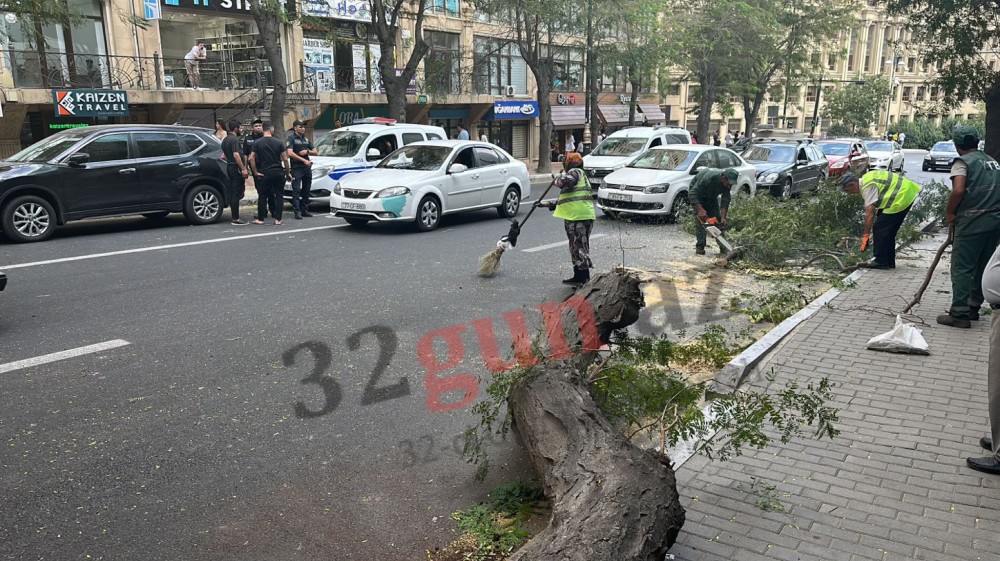 Ağac aşdı- “AP” serialı avtomobilə ziyan dəydi (VİDEO)