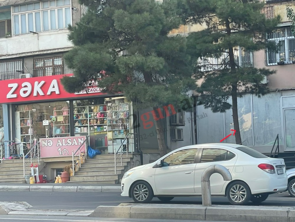 Bakı şəhər icra hakimiyyətinin başçısı Eldar Əzizovun göz yumduğu növbəti"yaşıl terror" - Adil Vəliyevi nə bağlayır? (VİDEO)