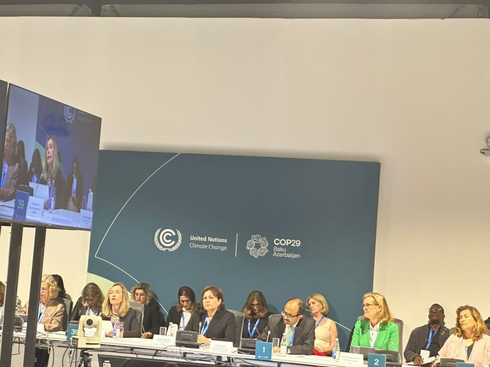 Təhlükəli Erkən Xəbərdarlıq Sistemlərinin gücləndirilməsi mövzusunda tədbir keçirildi -FOTOLAR