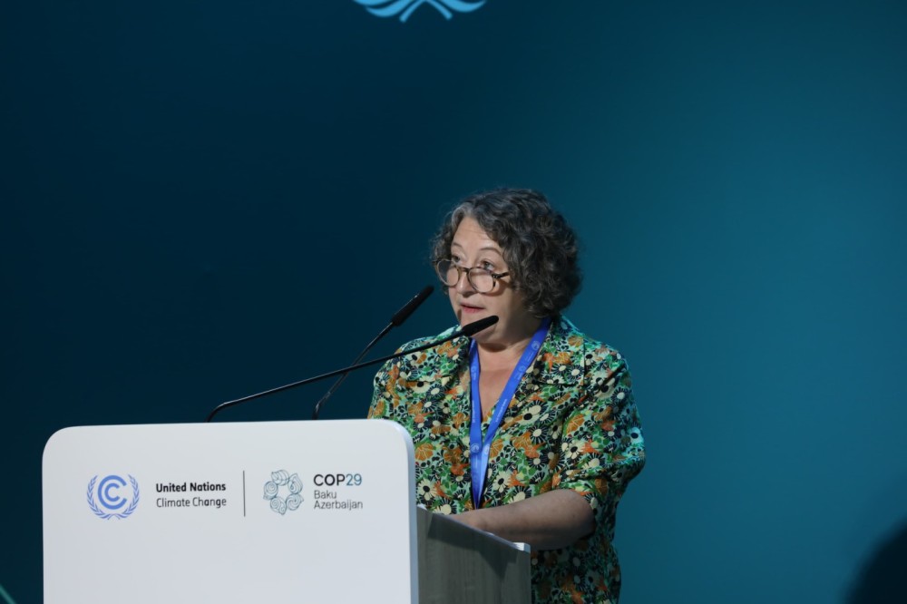 Azərbaycanda meşəçiliklə bağlı beynəlxalq konfrans keçiriləcək - Fotolar