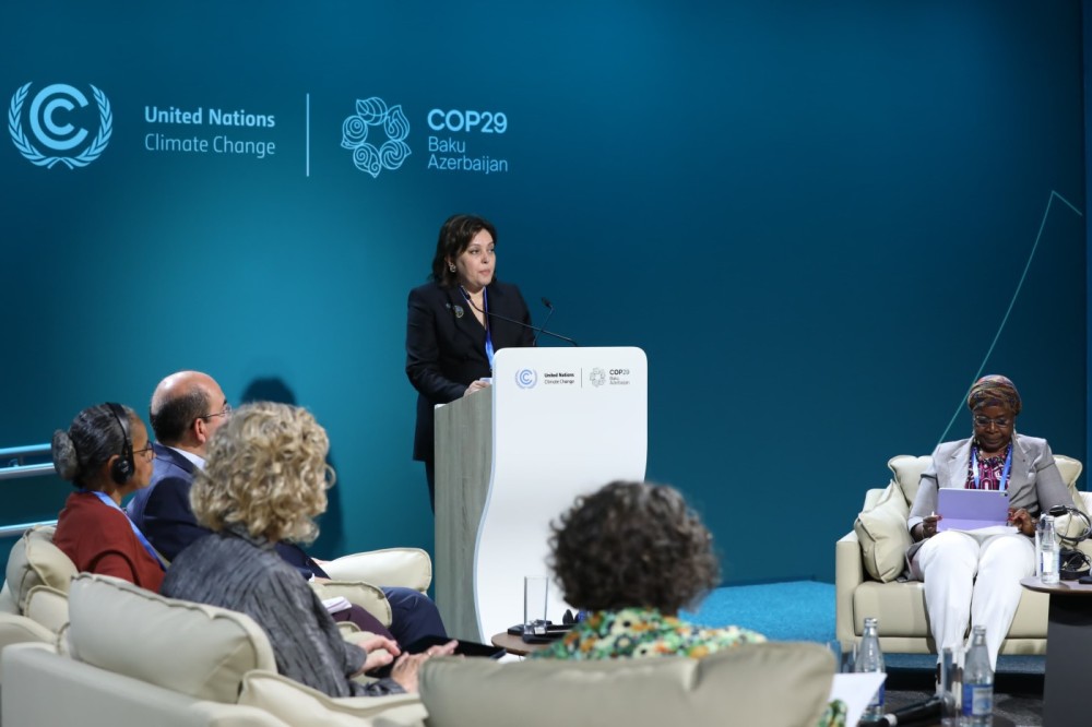 Azərbaycanda meşəçiliklə bağlı beynəlxalq konfrans keçiriləcək - Fotolar