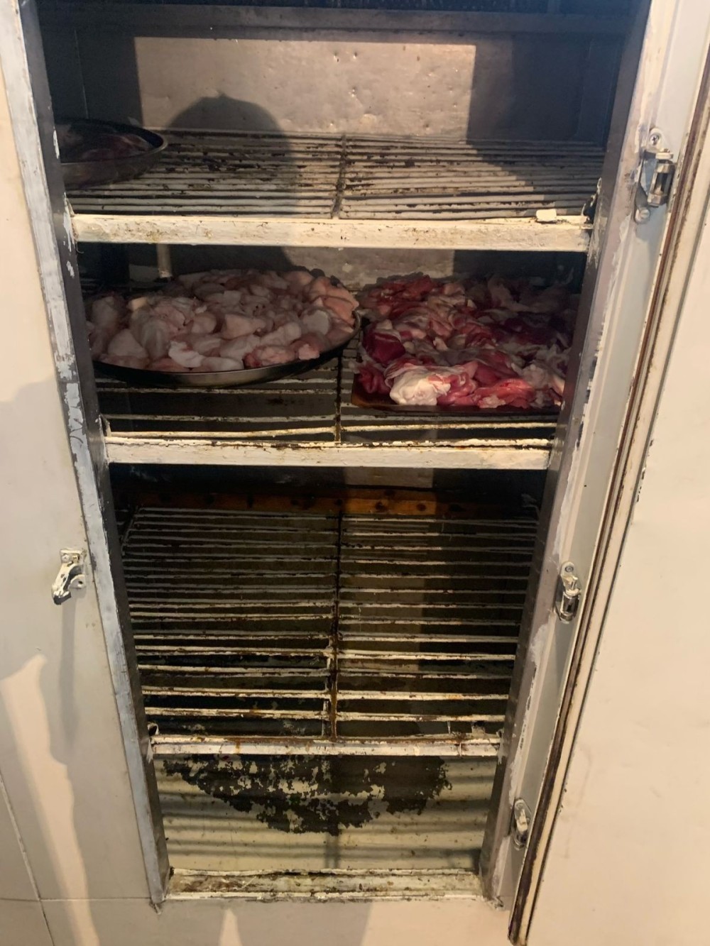 Məşhur restoran "Sərin”də mənşəyi məlum olmayan məhsullar aşkarlandı /FOTOLAR