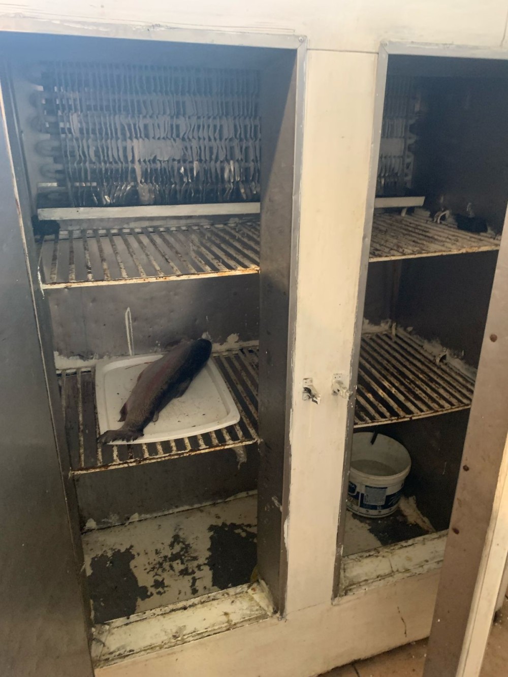 Məşhur restoran "Sərin”də mənşəyi məlum olmayan məhsullar aşkarlandı /FOTOLAR