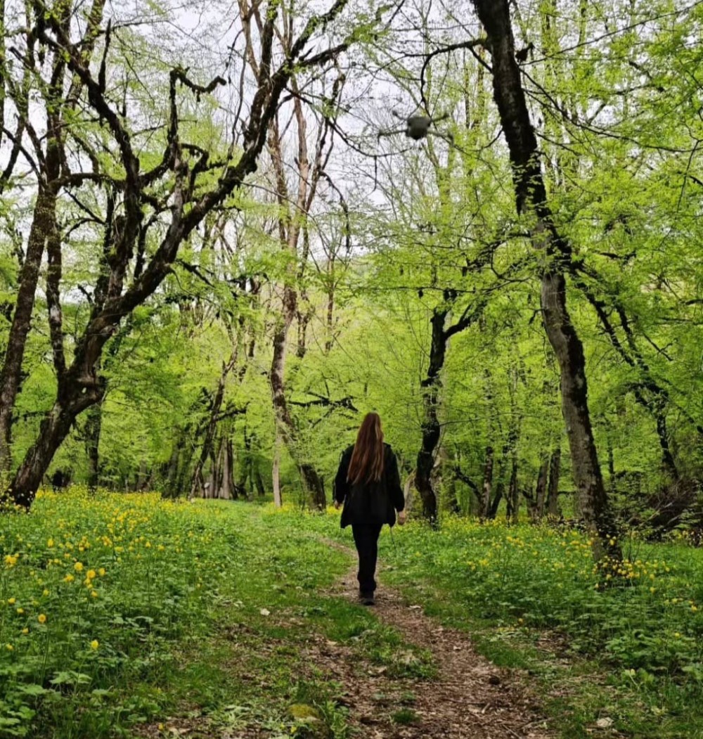 Arzu və Leyla Əliyevalar Qəbələdə - FOTOLAR