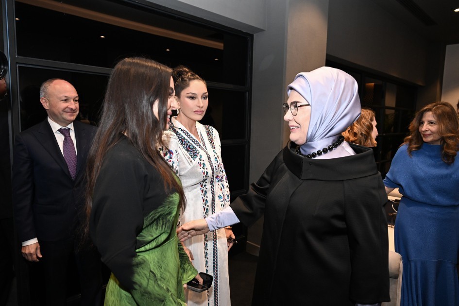 Mehriban Əliyeva Antalya Diplomatiya Forumunun panel iclasında iştirak edib - FOTOLAR