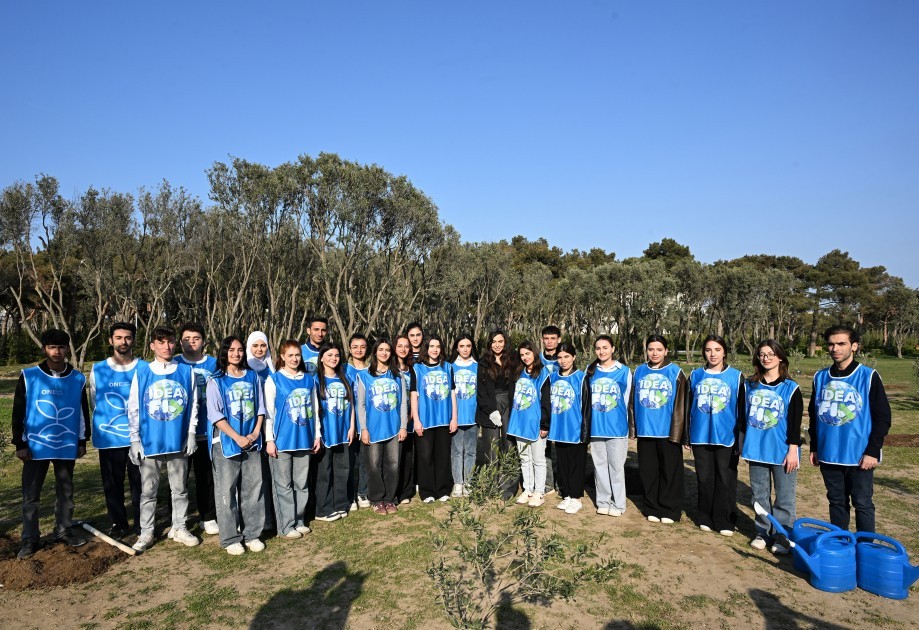 Leyla Əliyevanın təşəbbüsü ilə ağaclara nömrəli etiketlər vuruldu - FOTOLAR