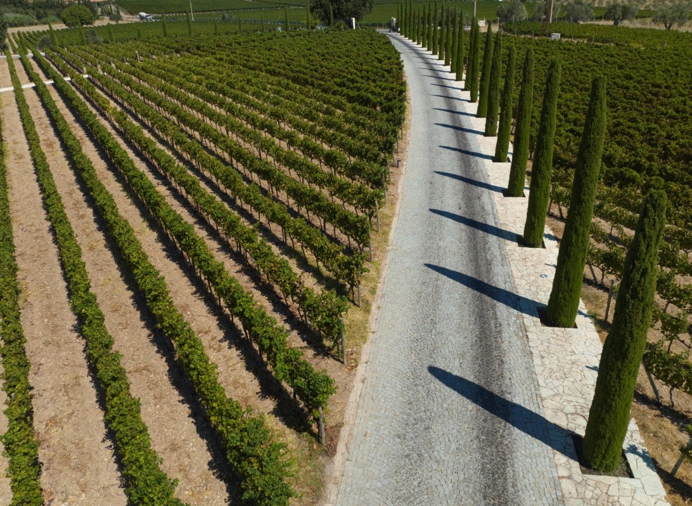 Analar gününü İzmirin Urla bölgəsində qeyd edin-FOTOLAR