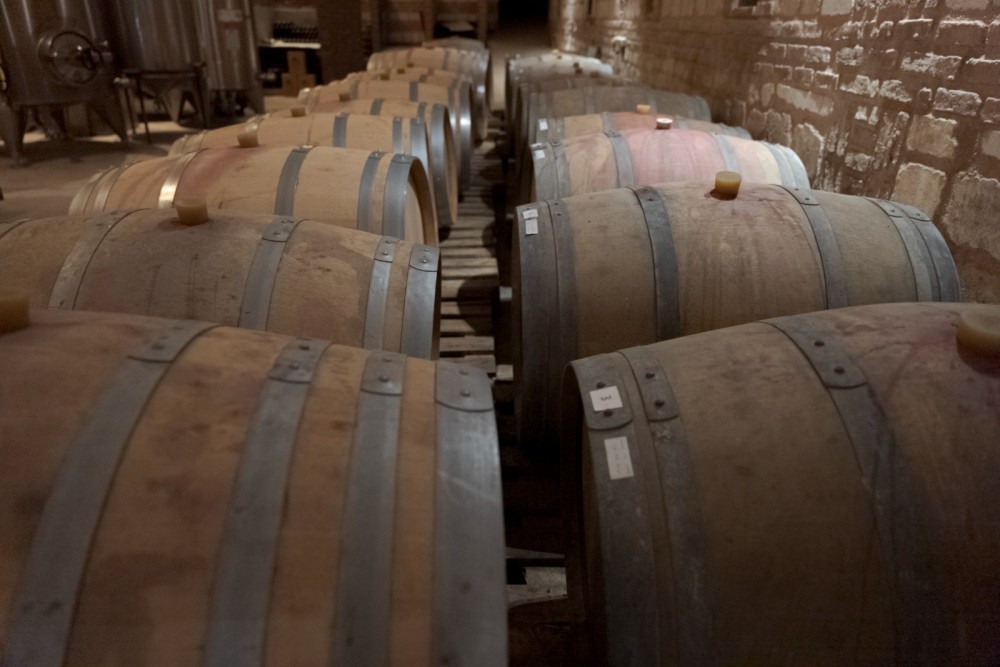 Analar gününü İzmirin Urla bölgəsində qeyd edin-FOTOLAR