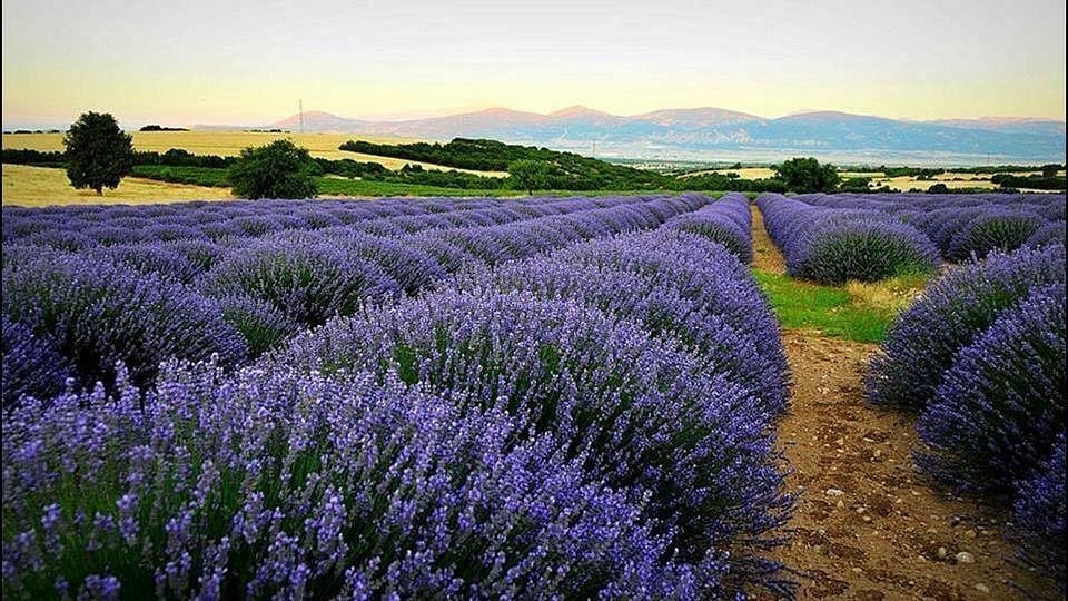 Turizmin beşiyi olan tarixi kəndlər –FOTOLAR
