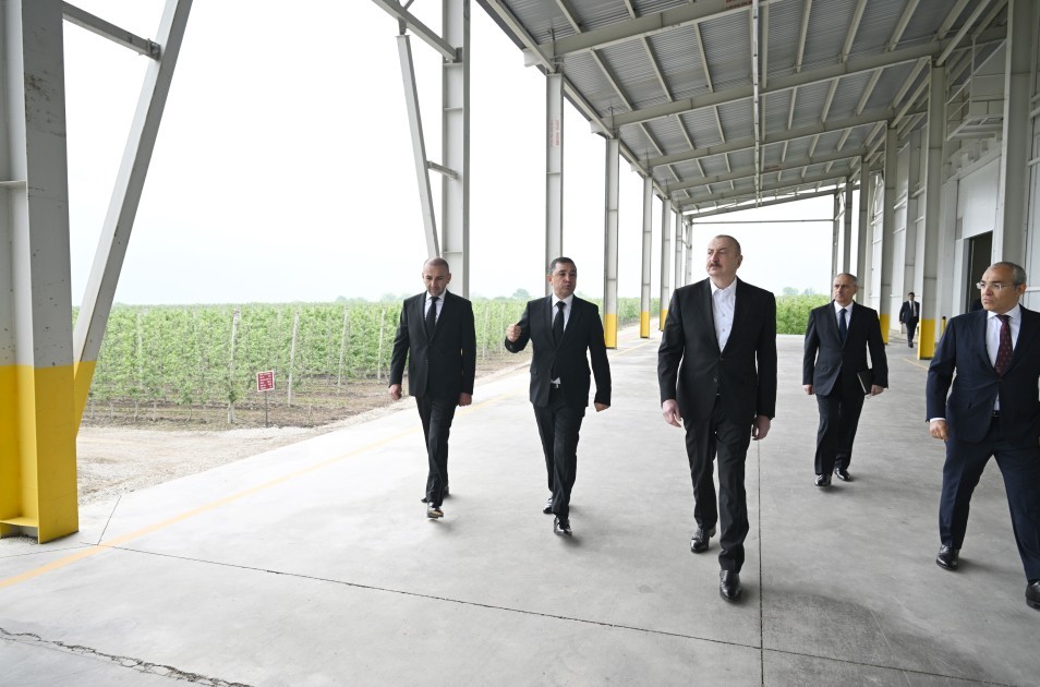 İlham Əliyev Qusarda kompleksin fəaliyyəti ilə tanış oldu- FOTOLAR