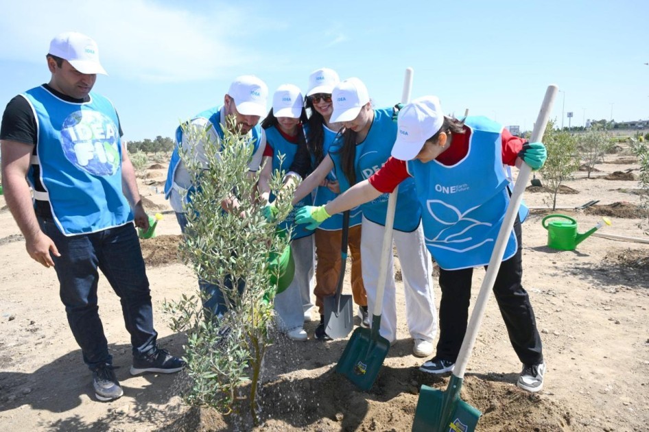 Leyla və Arzu Əliyevaların iştirakı ilə ağacəkmə aksiyası keçirilib -FOTOLAR