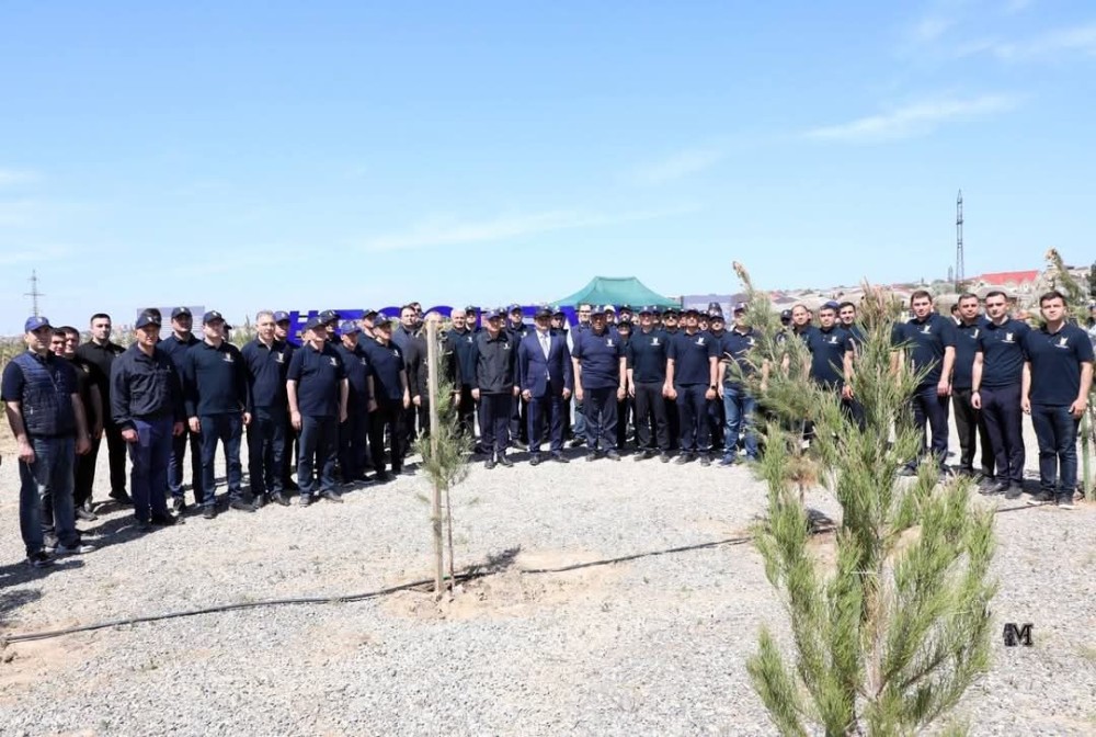 Adil Əliyev Baş prokurorla ağac əkdi +FOTO