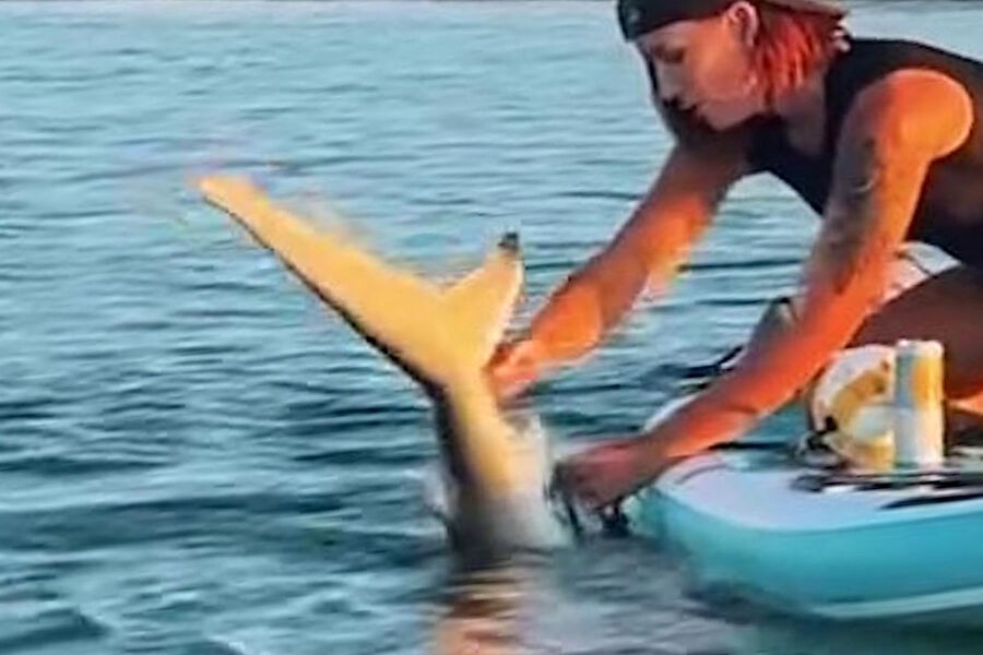 ABŞ-da qadın əlləri ilə ipə dolaşmış akulanı xilas etdi