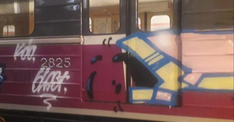 Bakıda metro divarlarını yazan Fransa vətəndaşı əfv olundu- FOTO