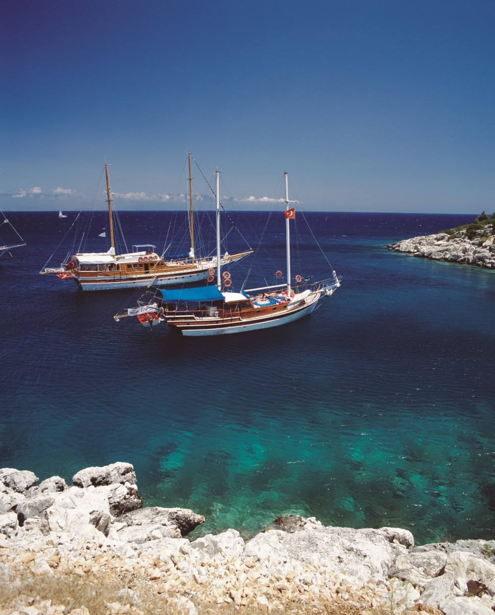 Egeydən Aralıq dənizinə: Türkiyənin su altı dünyasına səyahət