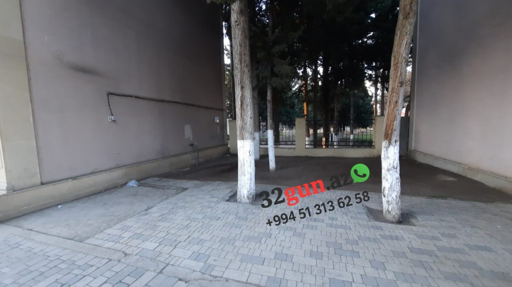 Ağstafada şəhərin mərkəzində "Yaşıl Terror" -/ Ekologiya və Təbii sərvətlər Nazirliyinin idarəsi hara baxır? (VİDEO + FOTO)