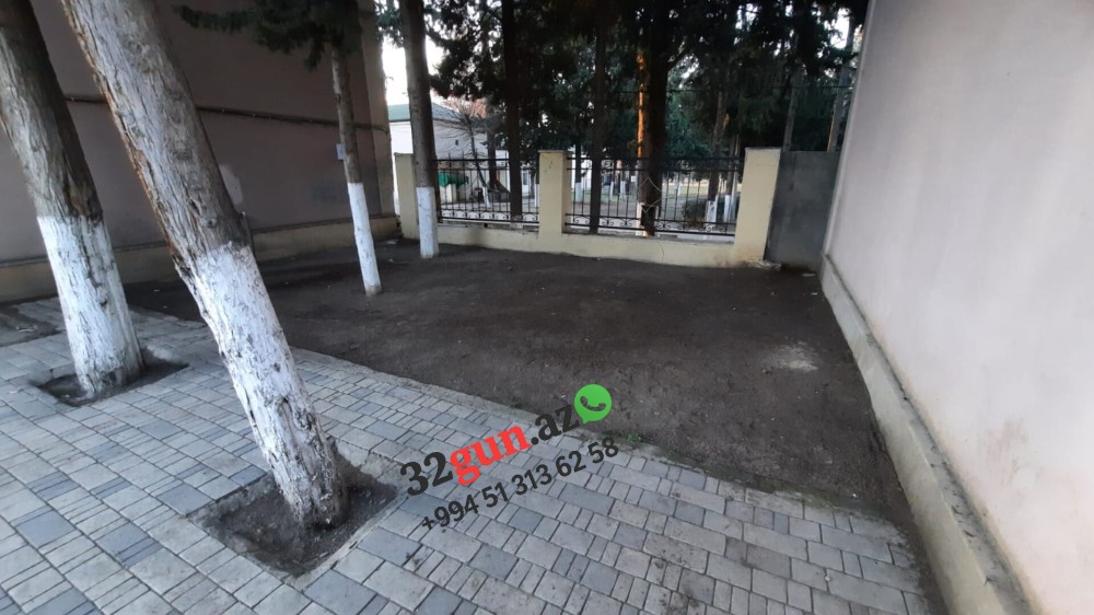 Ağstafada şəhərin mərkəzində "Yaşıl Terror" -/ Ekologiya və Təbii sərvətlər Nazirliyinin idarəsi hara baxır? (VİDEO + FOTO)