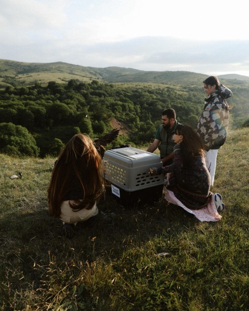 Leyla Əliyeva və Arzu Əliyeva Altıağac Milli Parkında - FOTOLAR