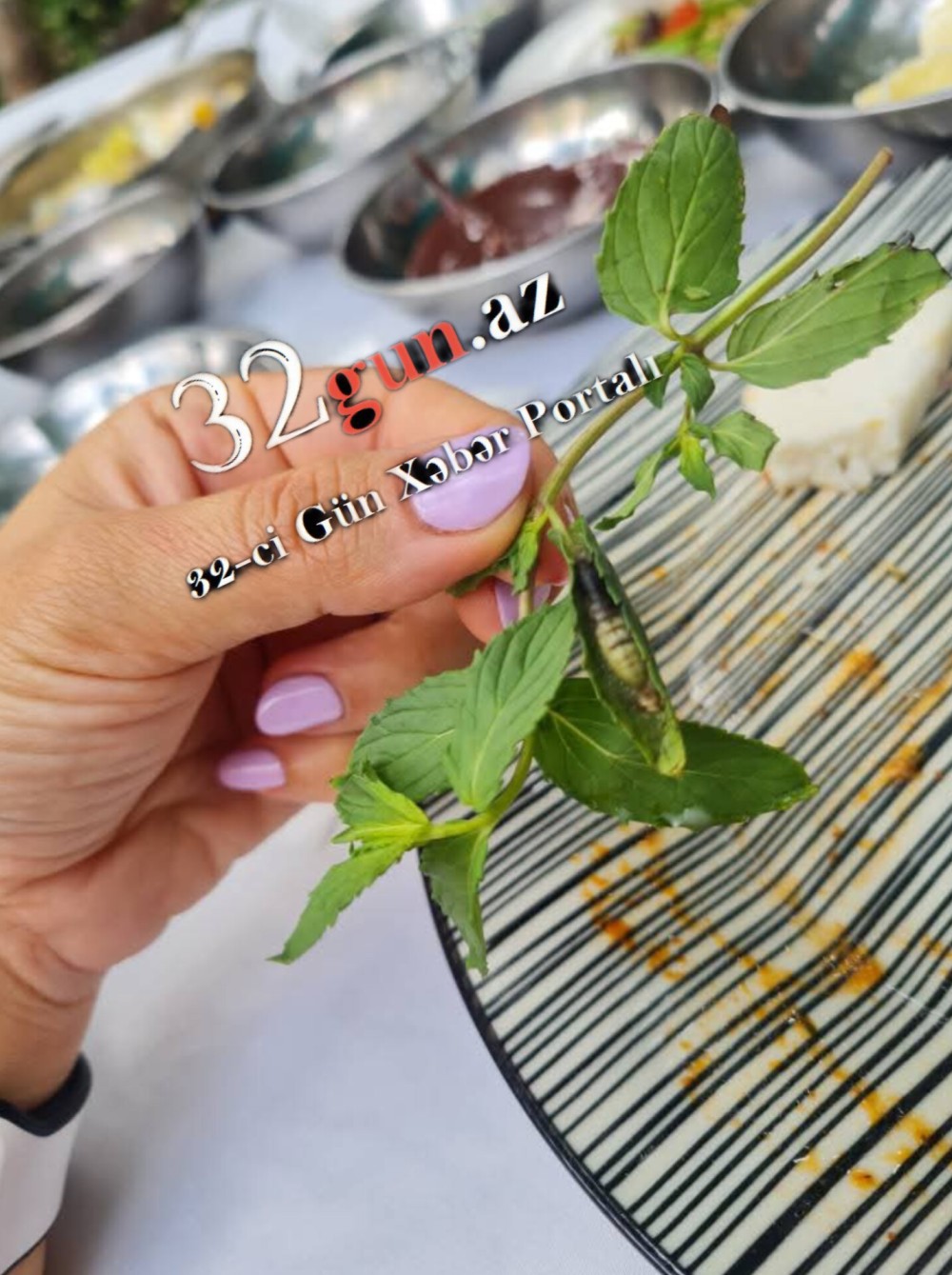 "Biz Bizə" restoranında İYRƏNCLİK VƏ .../"Göyərtidən həşərat çıxdı, terminal yoxdur"