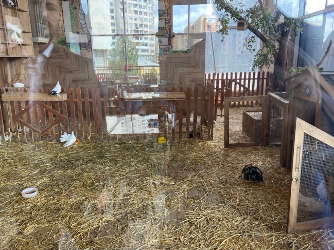 "Kolorit”də heyvanlar qanunsuz saxlanılırmış -FOTOLAR