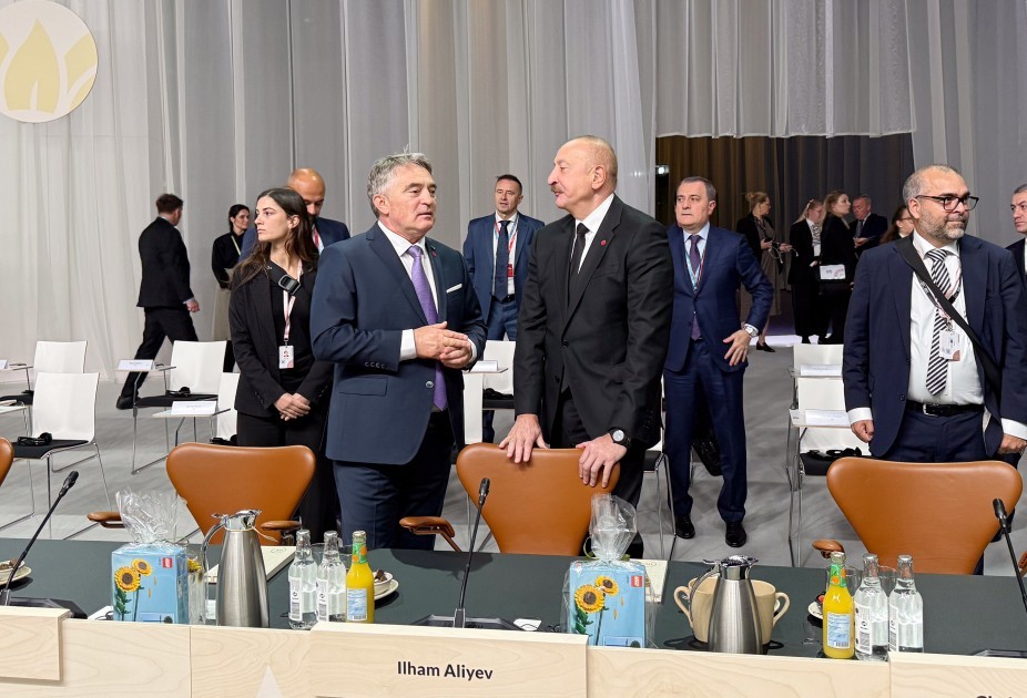 Prezident plenar sessiyada iştirak edir -FOTOLAR (YENİLƏNİB)