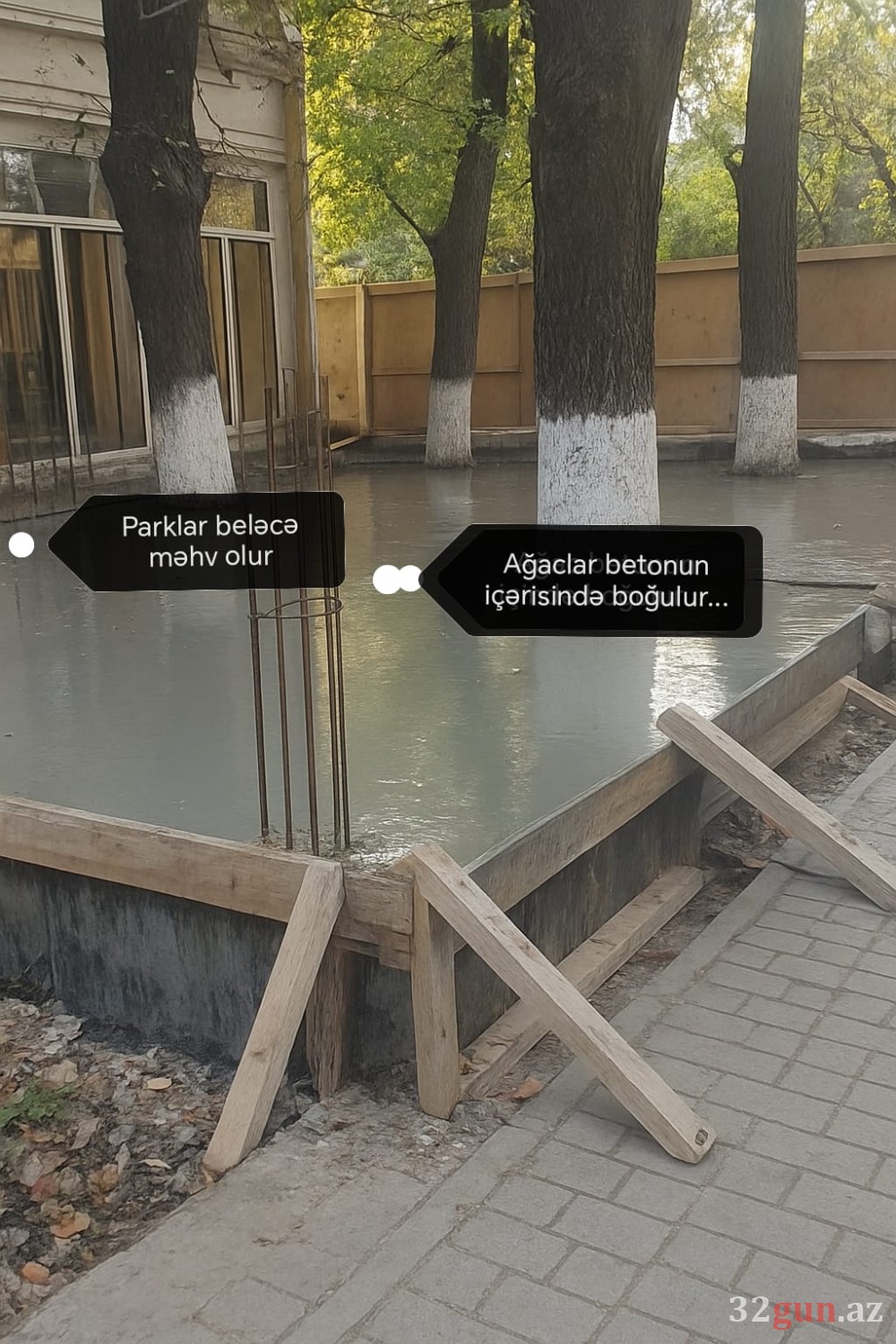 Qazaxda parklar “işğal” altında – yaşıllıqlar obyektlərin qurbanına çevrilib/ FOTOLAR