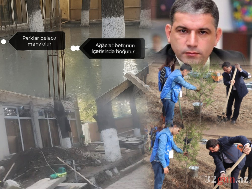 Qazaxda parklar “işğal” altında – yaşıllıqlar obyektlərin qurbanına çevrilib/ FOTOLAR