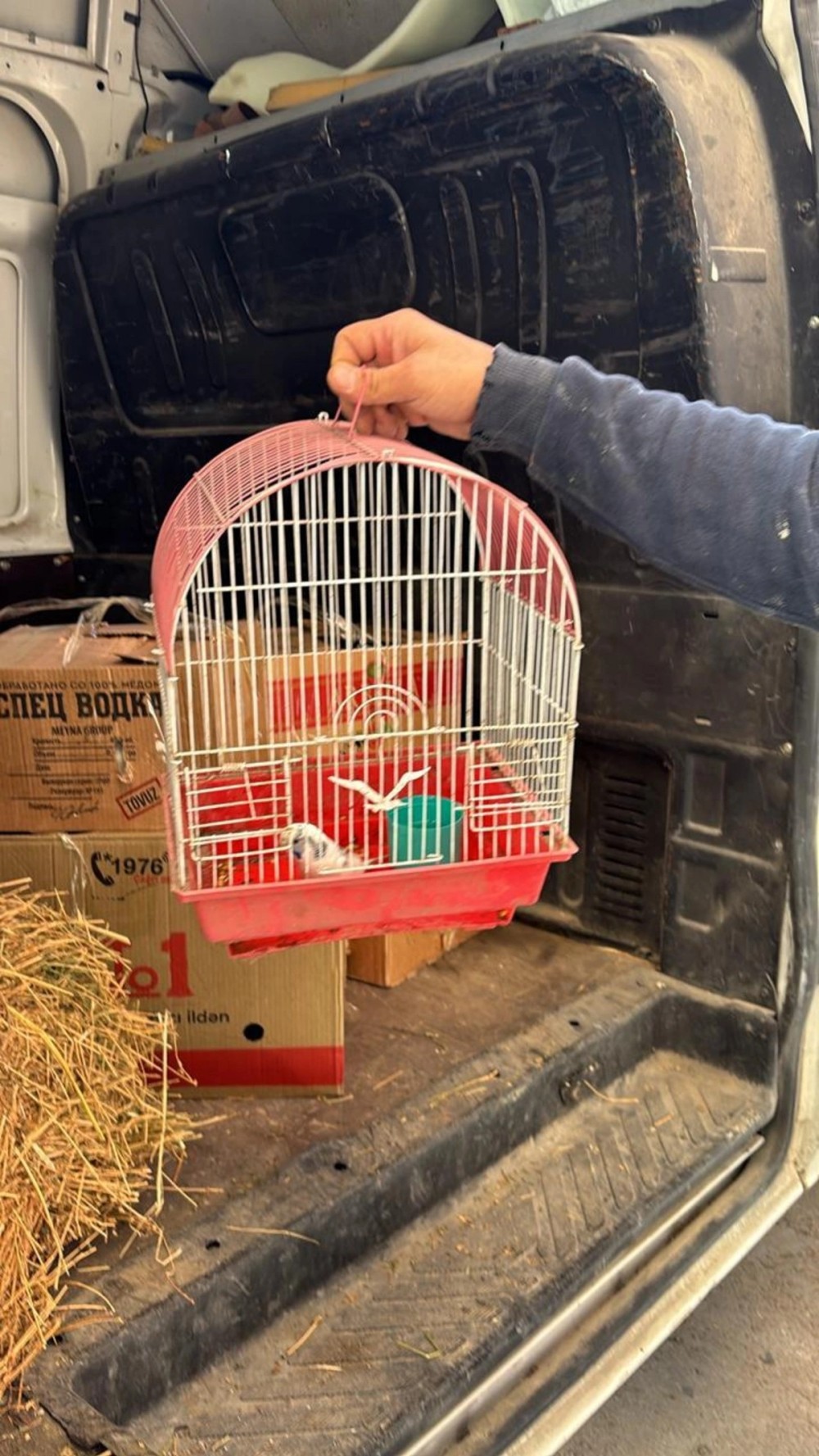 "Kolorit"də saxlanılan heyvanlar aidiyyəti üzrə təhvil verildi -FOTOLAR