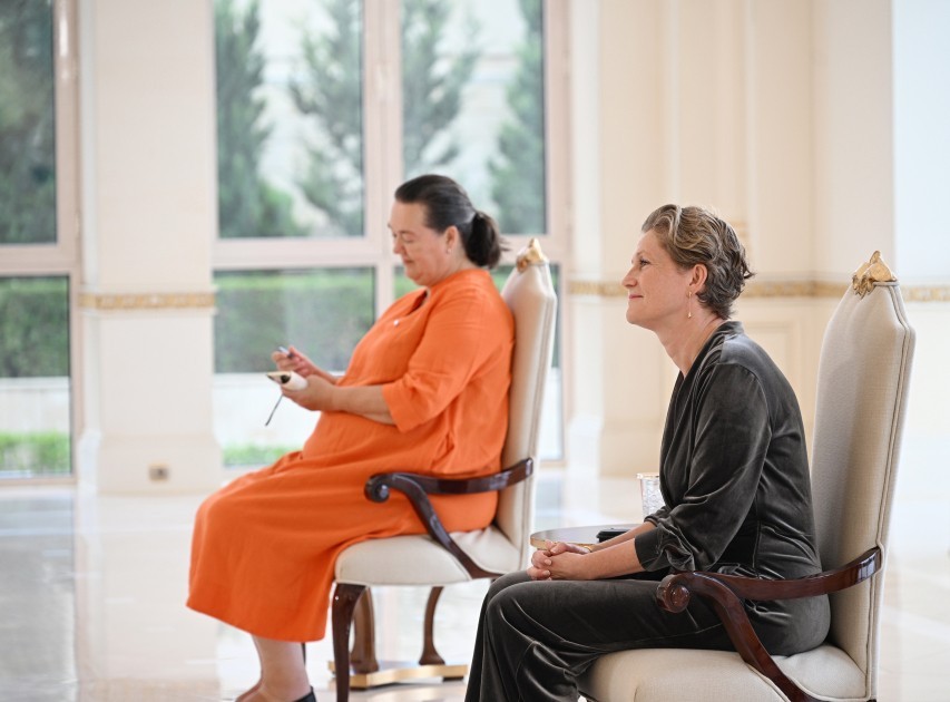 İlham Əliyev yeni səfirlərin etimadnamələrini qəbul etdi -FOTOLAR (YENİLƏNİB)