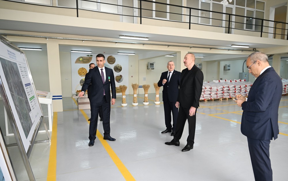 Dövlət başçısı Sabirabadda toxum istehsalı müəssisəsinin fəaliyyəti ilə tanış oldu - FOTOLAR