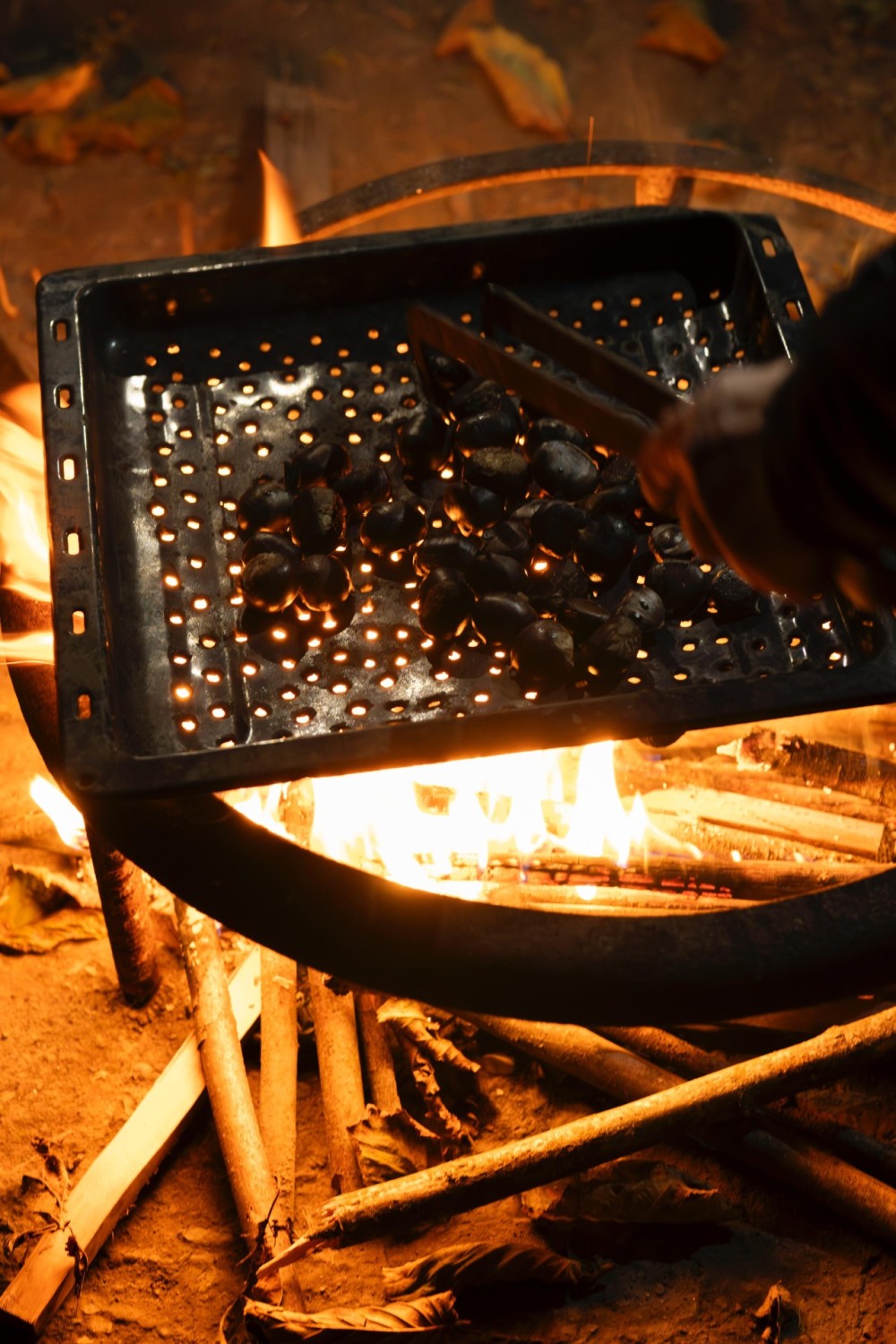 Leyla Əliyeva “Gənc arıçı” layihəsinin iştirakçısı ilə görüşdü -FOTOLAR