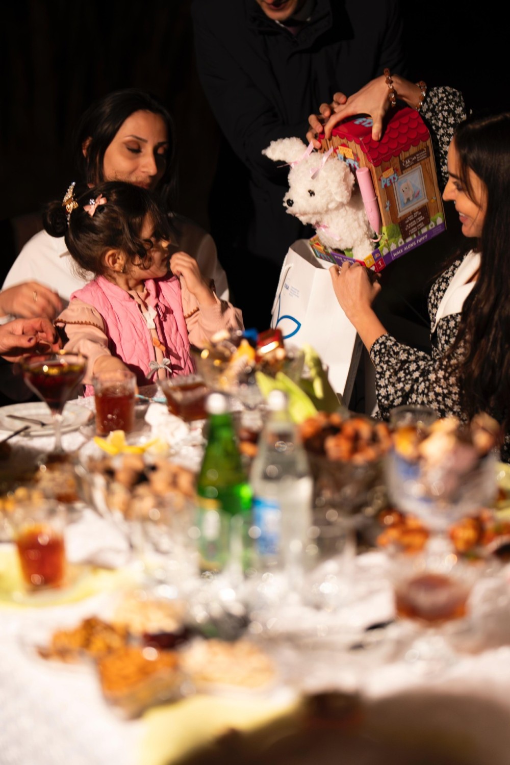 Leyla Əliyeva “Gənc arıçı” layihəsinin iştirakçısı ilə görüşdü -FOTOLAR