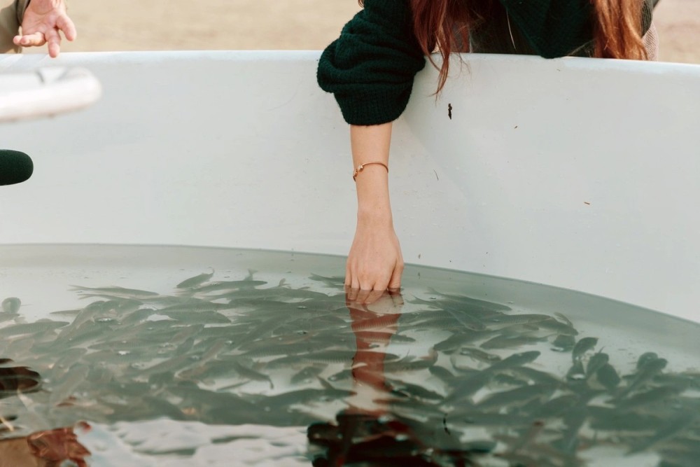 Leyla Əliyeva Mingəçevirdə ekoloji aksiyalarda -FOTOLAR