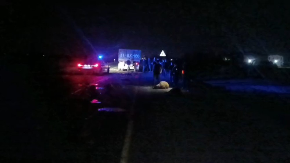 Salyanda yük maşını qoyun sürüsünü vurdu, heyvanlar tələf oldu -FOTOLAR