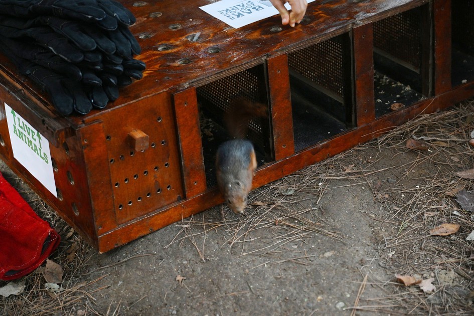 Leyla Əliyeva uşaqlar üçün təşkil olunan tədbirdə iştirak edib- FOTOLAR