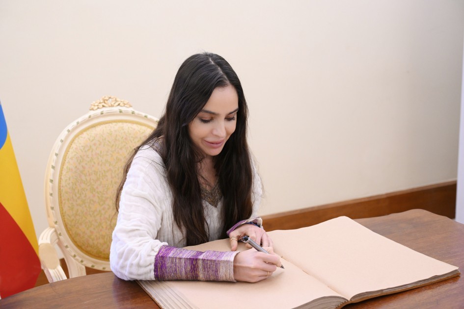 Leyla Əliyeva Əddis-Əbəbədə bir sıra sosial və mədəni obyektlərlə tanış olub -FOTOLAR